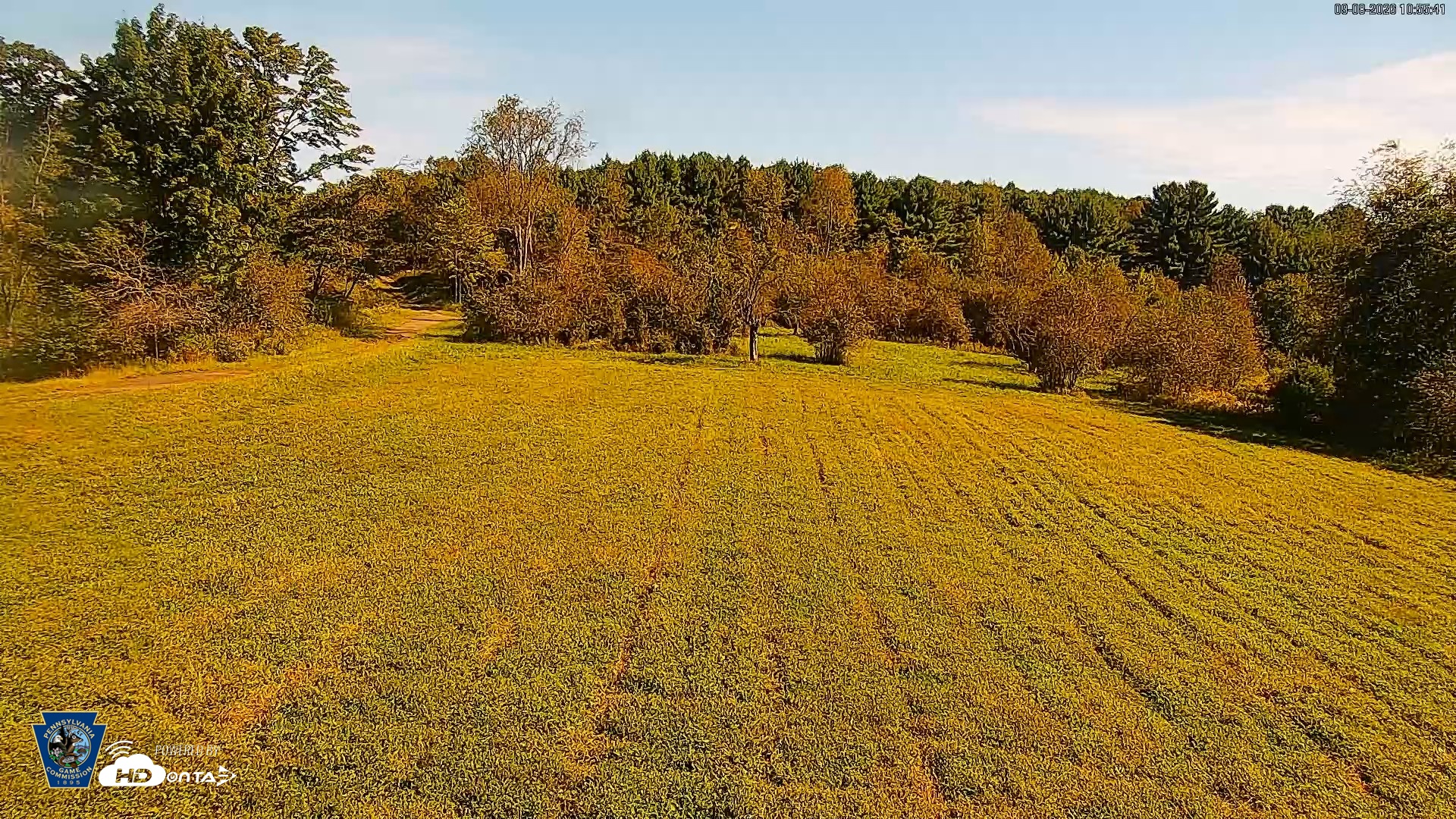 Snapshot of Pennsylvania Elk Live Webcam taken Sep 8, 2026, 10:57am EDT