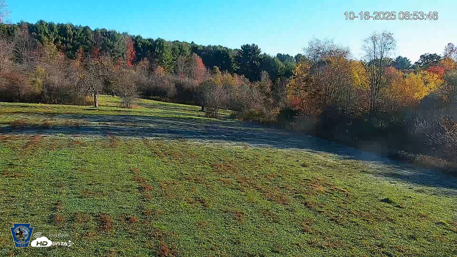 Snapshot of Pennsylvania Elk Live Webcam taken Oct 16, 2025, 8:54am EDT