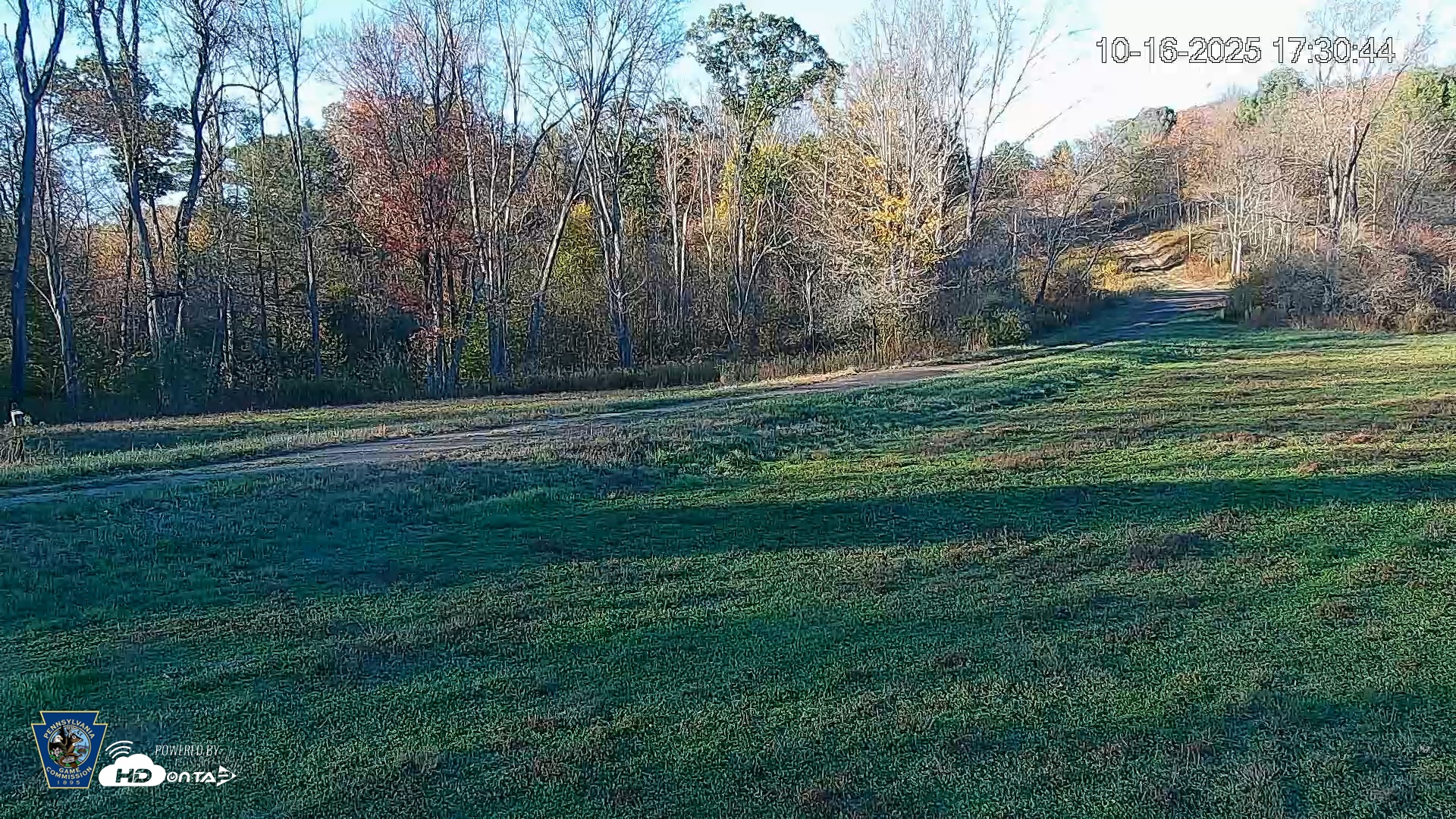 Snapshot of Pennsylvania Elk Live Webcam taken Oct 16, 2025, 5:31pm EDT