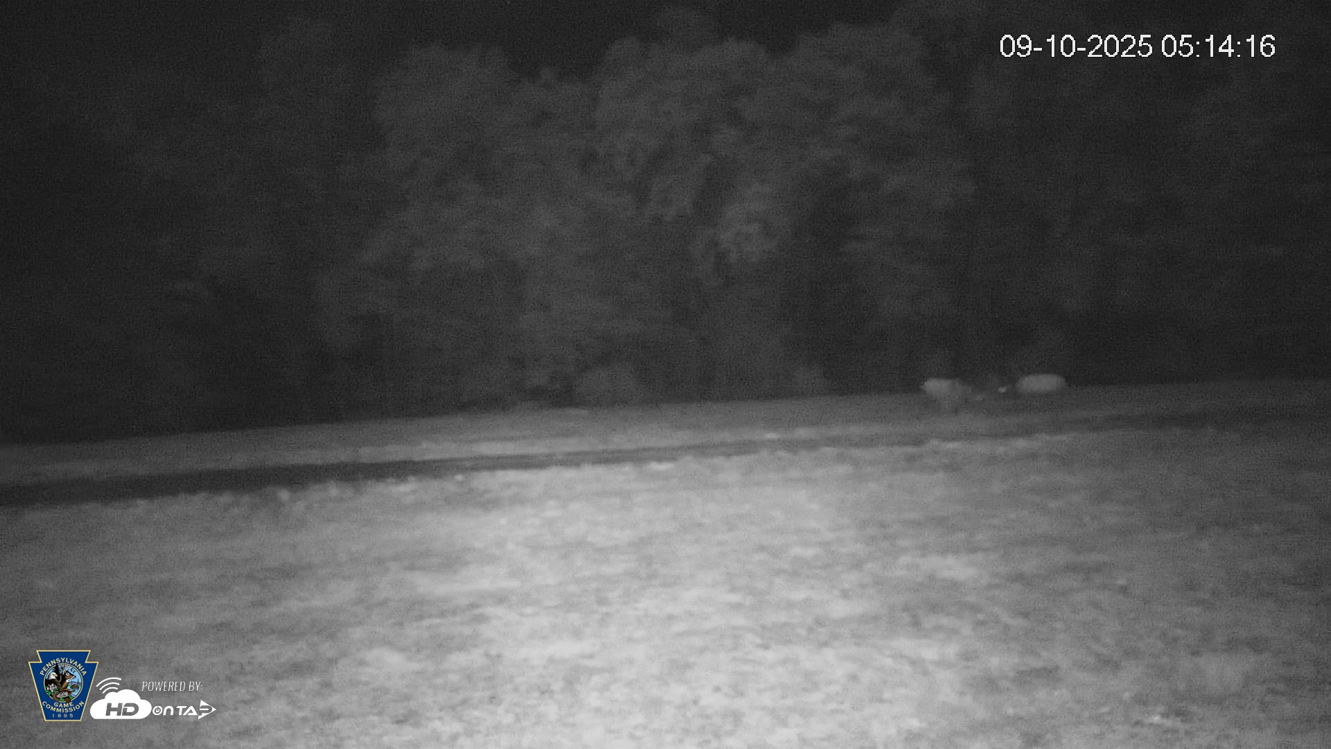 Snapshot of Pennsylvania Elk Live Webcam taken Sep 10, 2025, 5:15am EDT