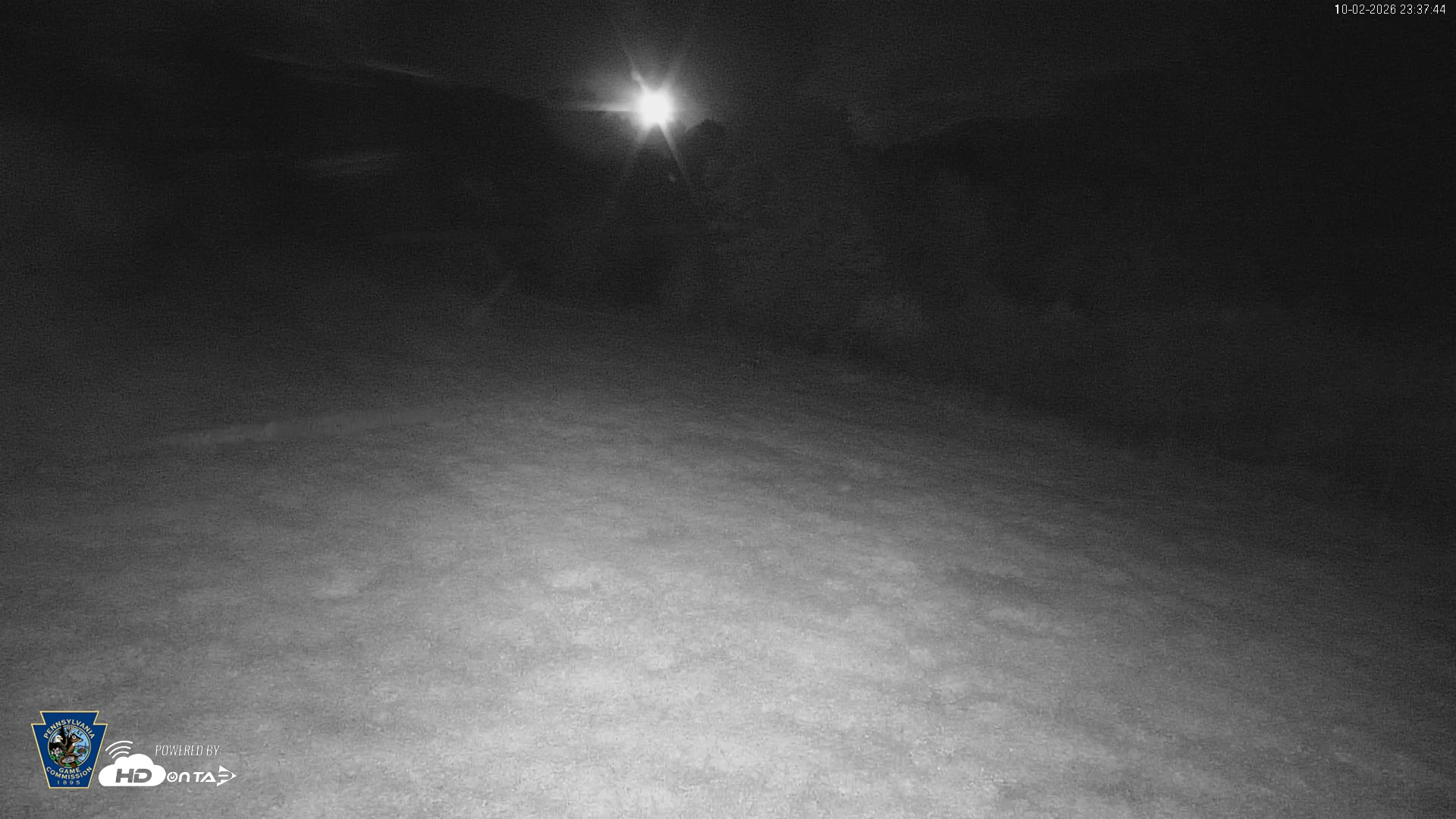 Snapshot of Pennsylvania Elk Live Webcam taken Oct 2, 2026, 11:39pm EDT