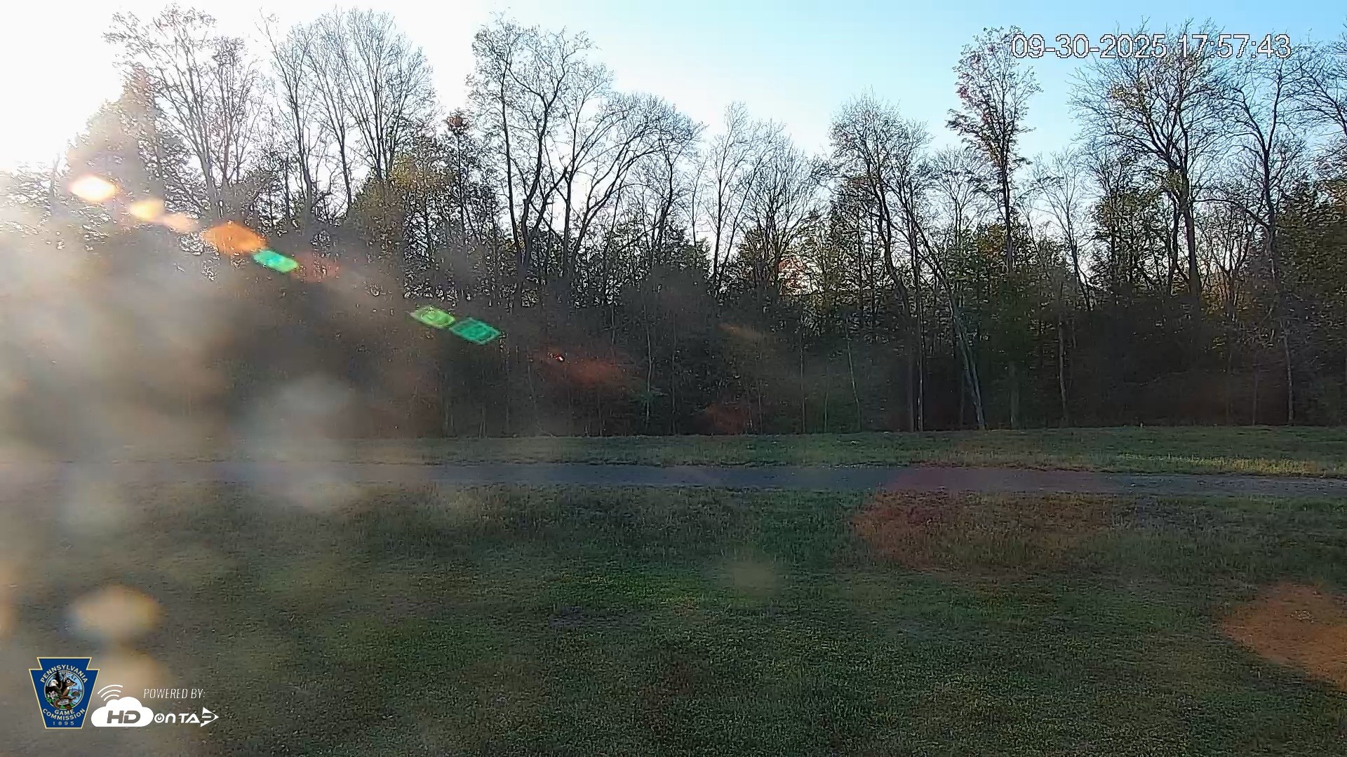 Snapshot of Pennsylvania Elk Live Webcam taken Sep 30, 2025, 5:58pm EDT