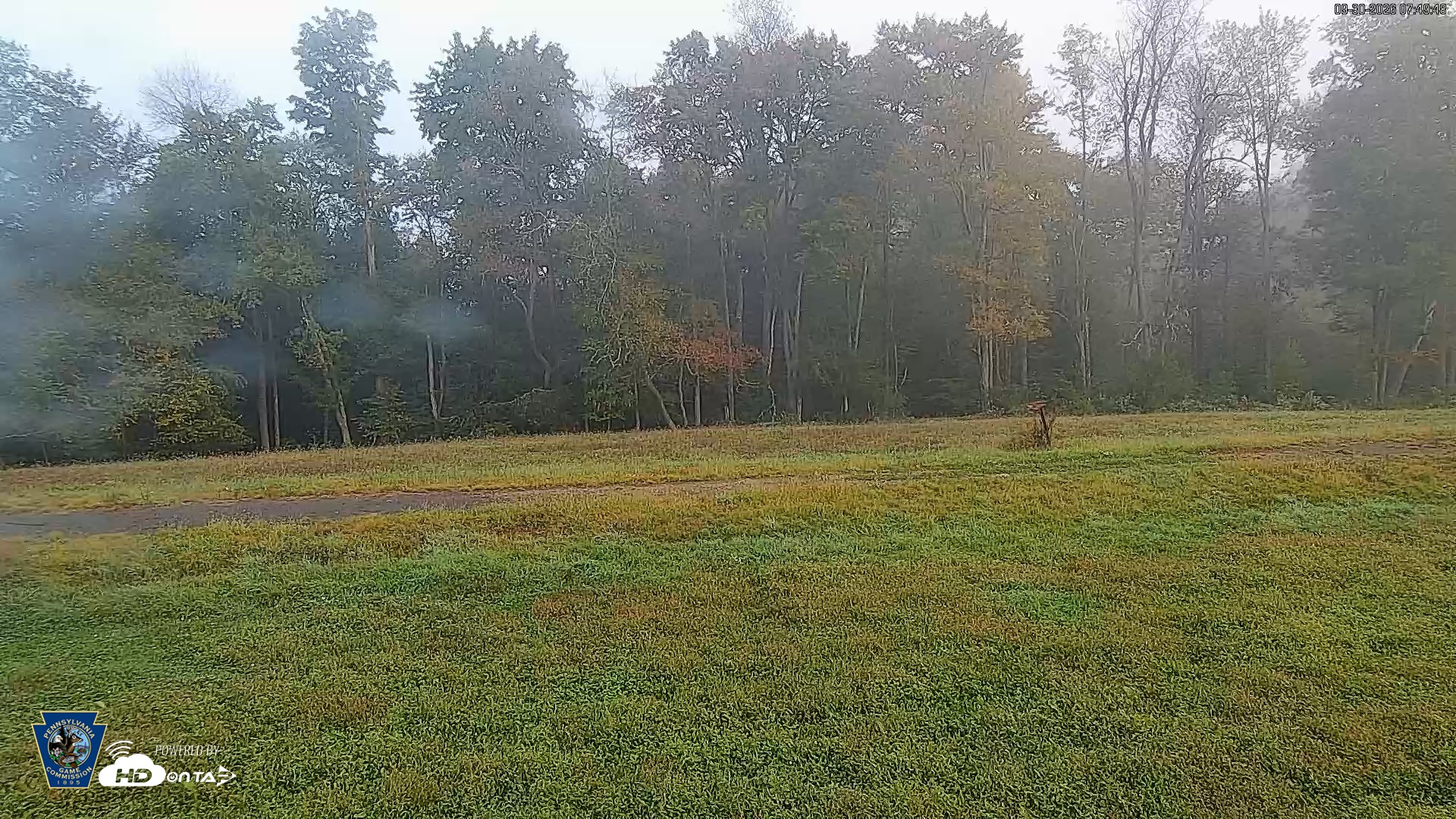 Snapshot of Pennsylvania Elk Live Webcam taken Sep 30, 2026, 7:50am EDT