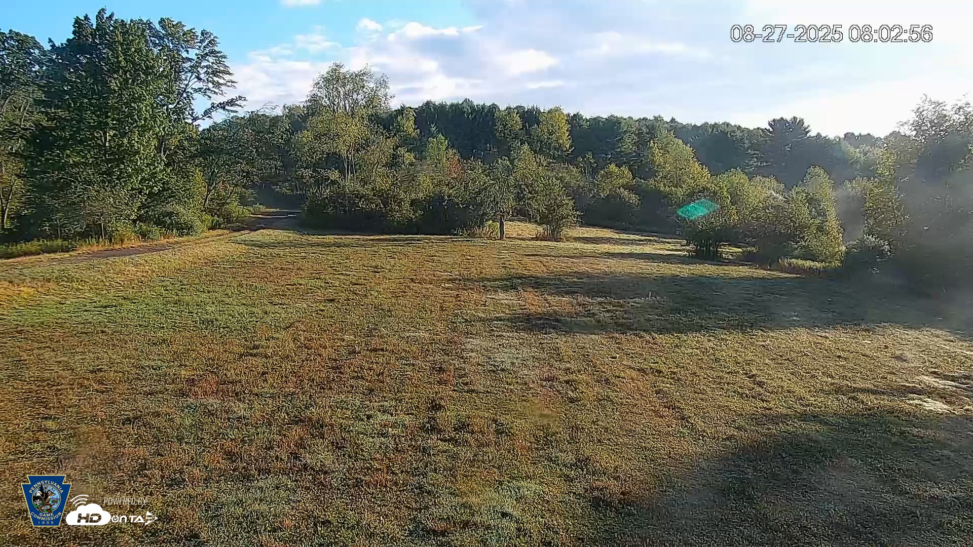 Snapshot of Pennsylvania Elk Live Webcam taken Aug 27, 2025, 8:03am EDT