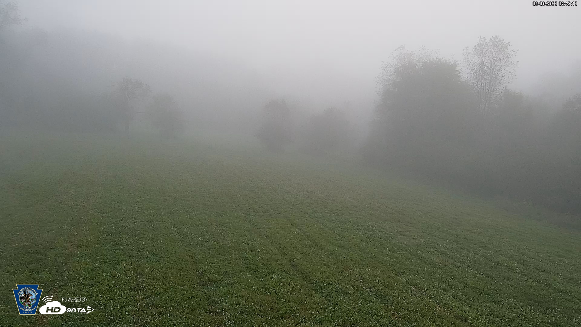 Snapshot of Pennsylvania Elk Live Webcam taken Sep 8, 2026, 6:49am EDT