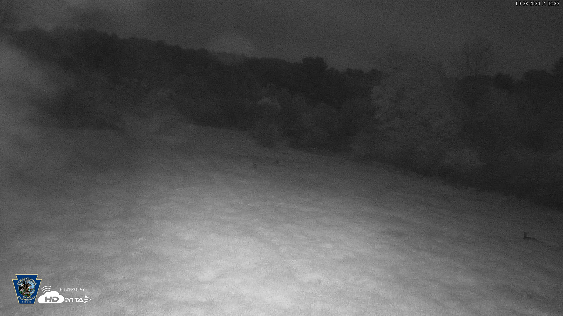 Snapshot of Pennsylvania Elk Live Webcam taken Sep 28, 2026, 1:33am EDT