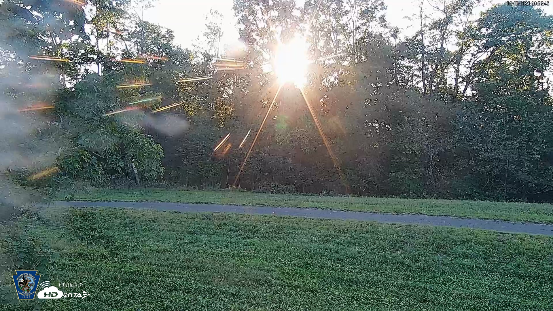 Snapshot of Pennsylvania Elk Live Webcam taken Sep 5, 2026, 6:53pm EDT