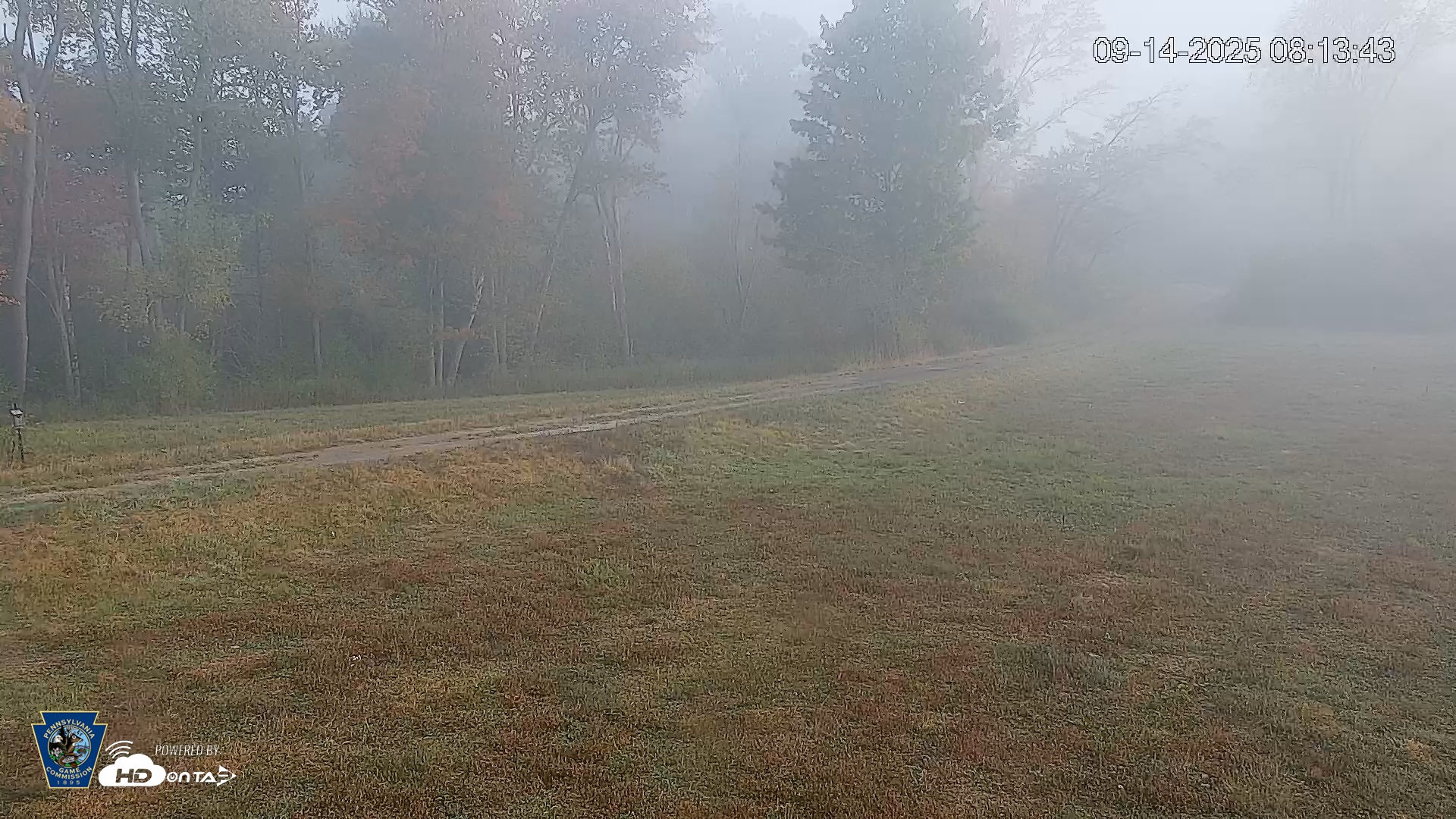 Snapshot of Pennsylvania Elk Live Webcam taken Sep 14, 2025, 8:14am EDT