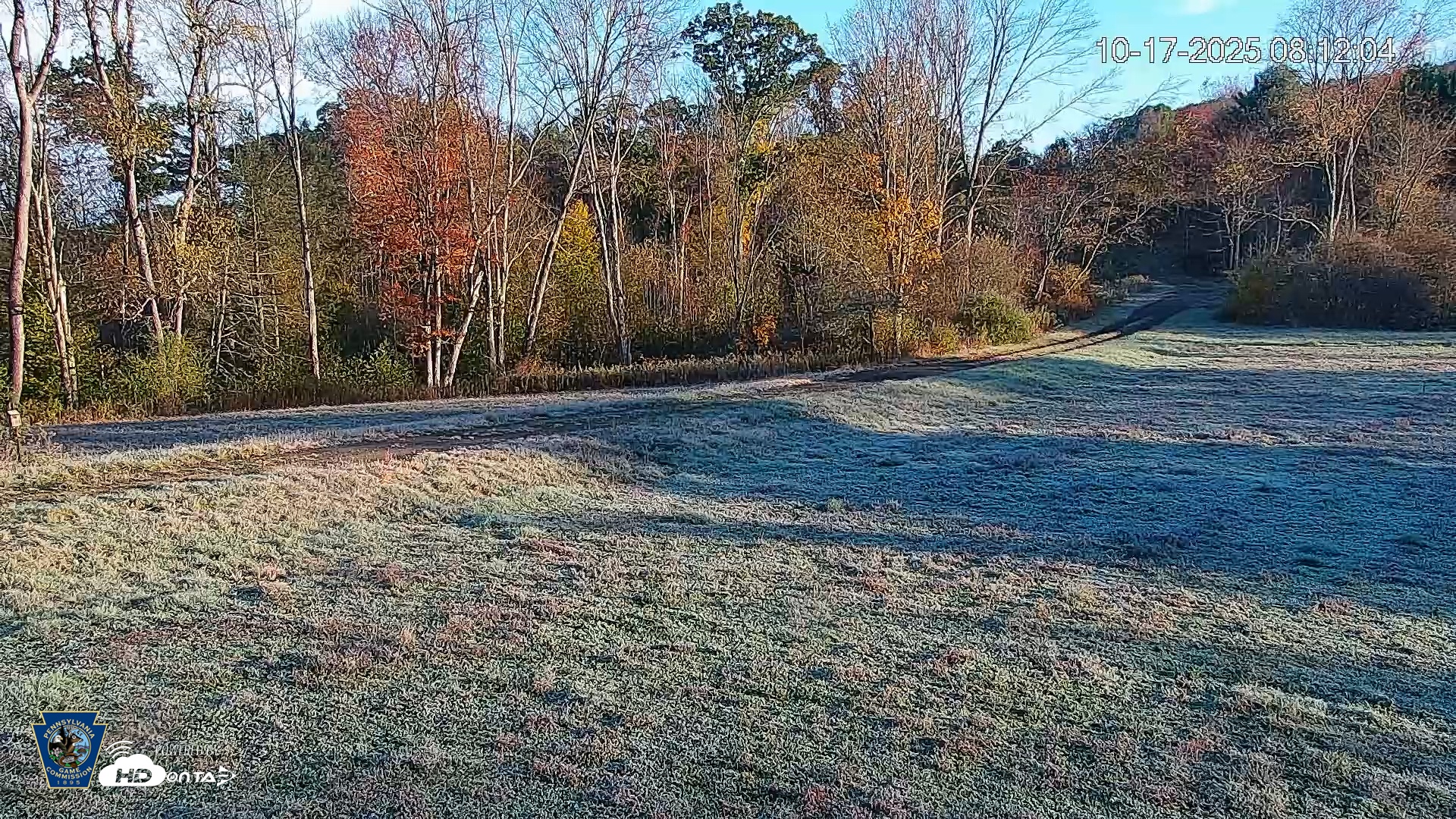 Snapshot of Pennsylvania Elk Live Webcam taken Oct 17, 2025, 8:14am EDT