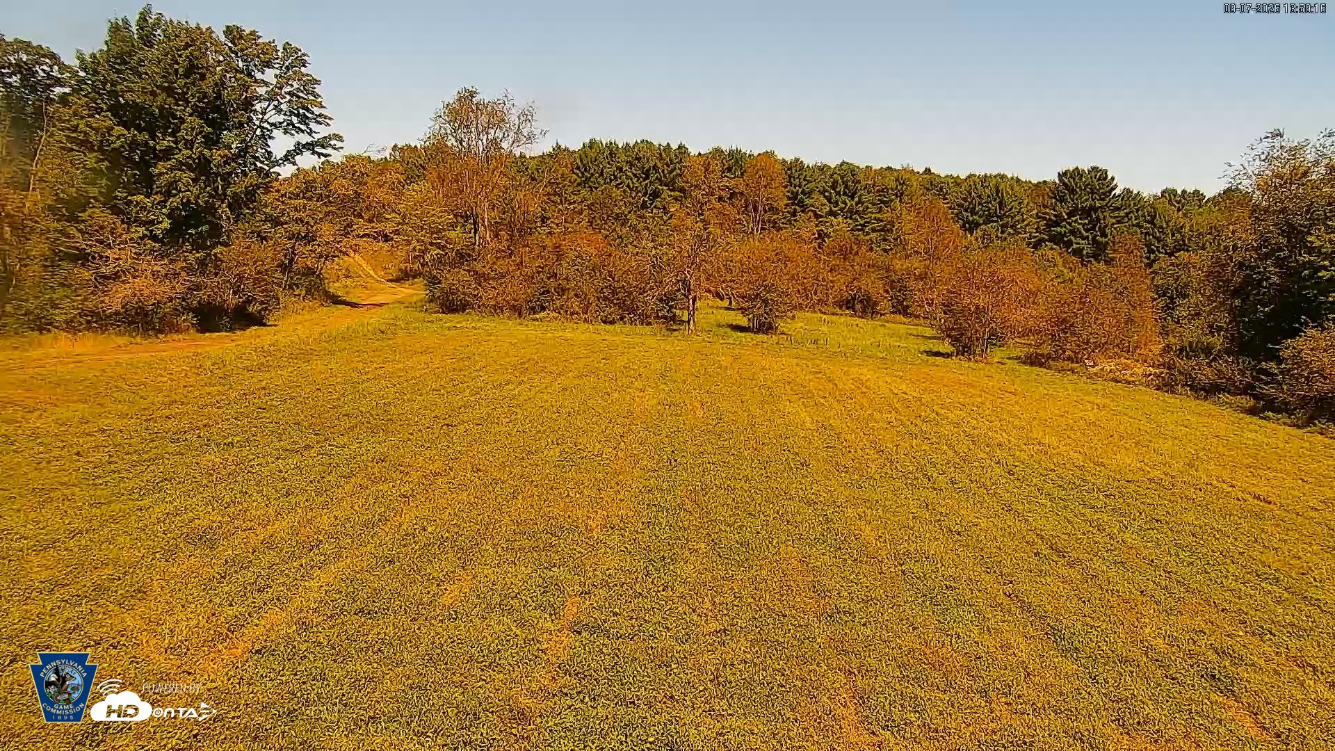 Snapshot of Pennsylvania Elk Live Webcam taken Sep 7, 2026, 2:00pm EDT