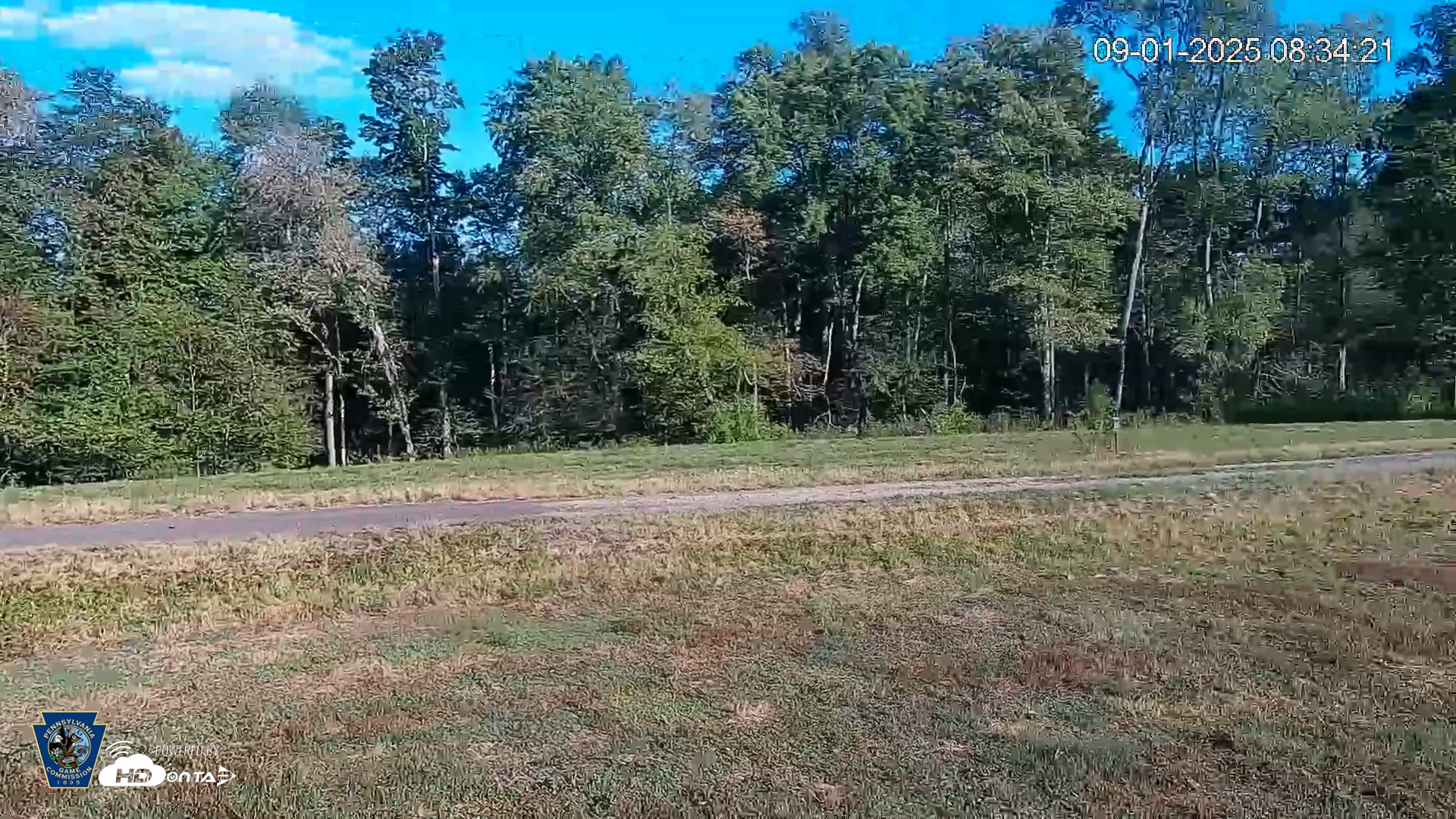 Snapshot of Pennsylvania Elk Live Webcam taken Sep 1, 2025, 8:35am EDT