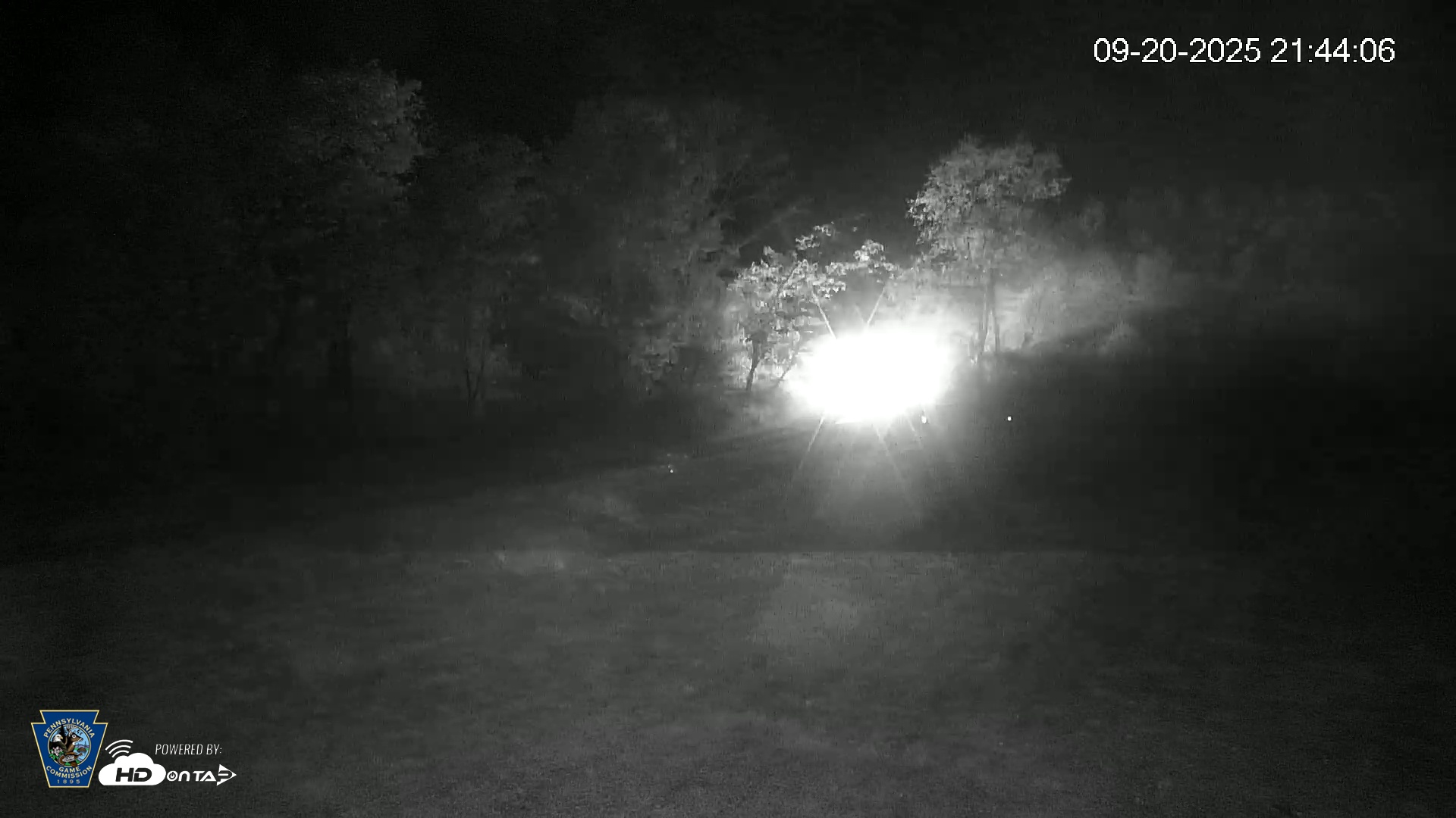 Snapshot of Pennsylvania Elk Live Webcam taken Sep 20, 2025, 9:44pm EDT