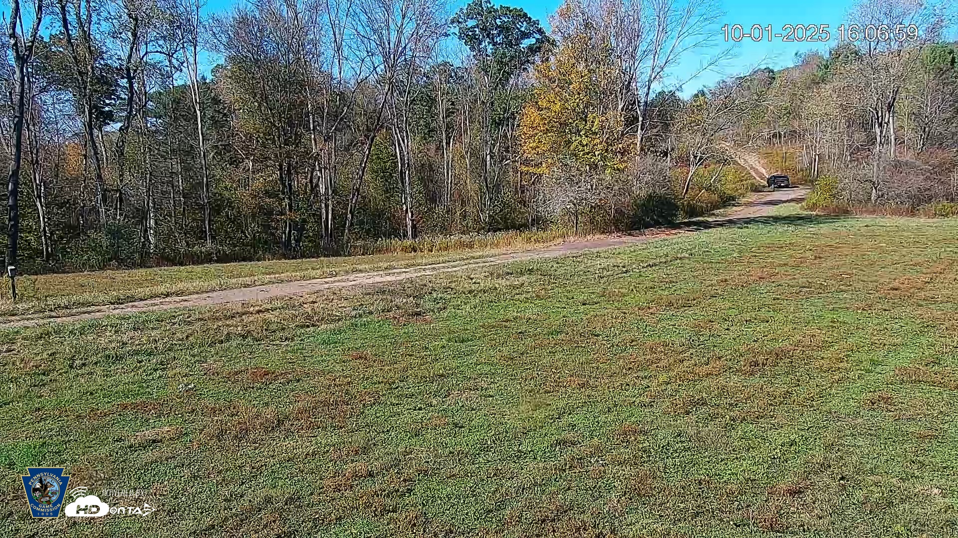 Snapshot of Pennsylvania Elk Live Webcam taken Oct 1, 2025, 4:07pm EDT