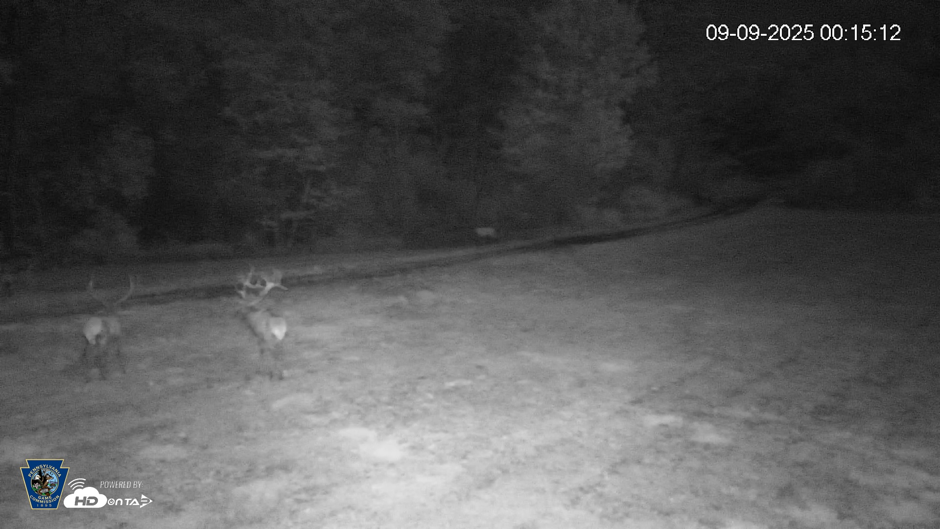 Snapshot of Pennsylvania Elk Live Webcam taken Sep 9, 2025, 12:15am EDT