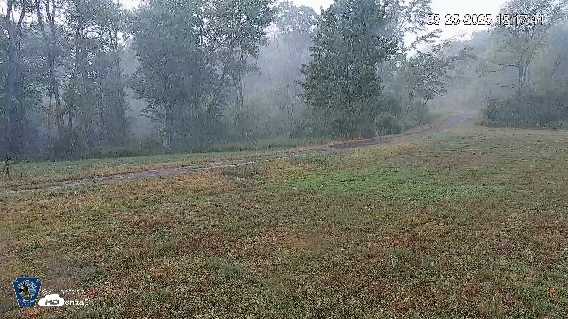 Snapshot of Pennsylvania Elk Live Webcam taken Aug 25, 2025, 6:19pm EDT