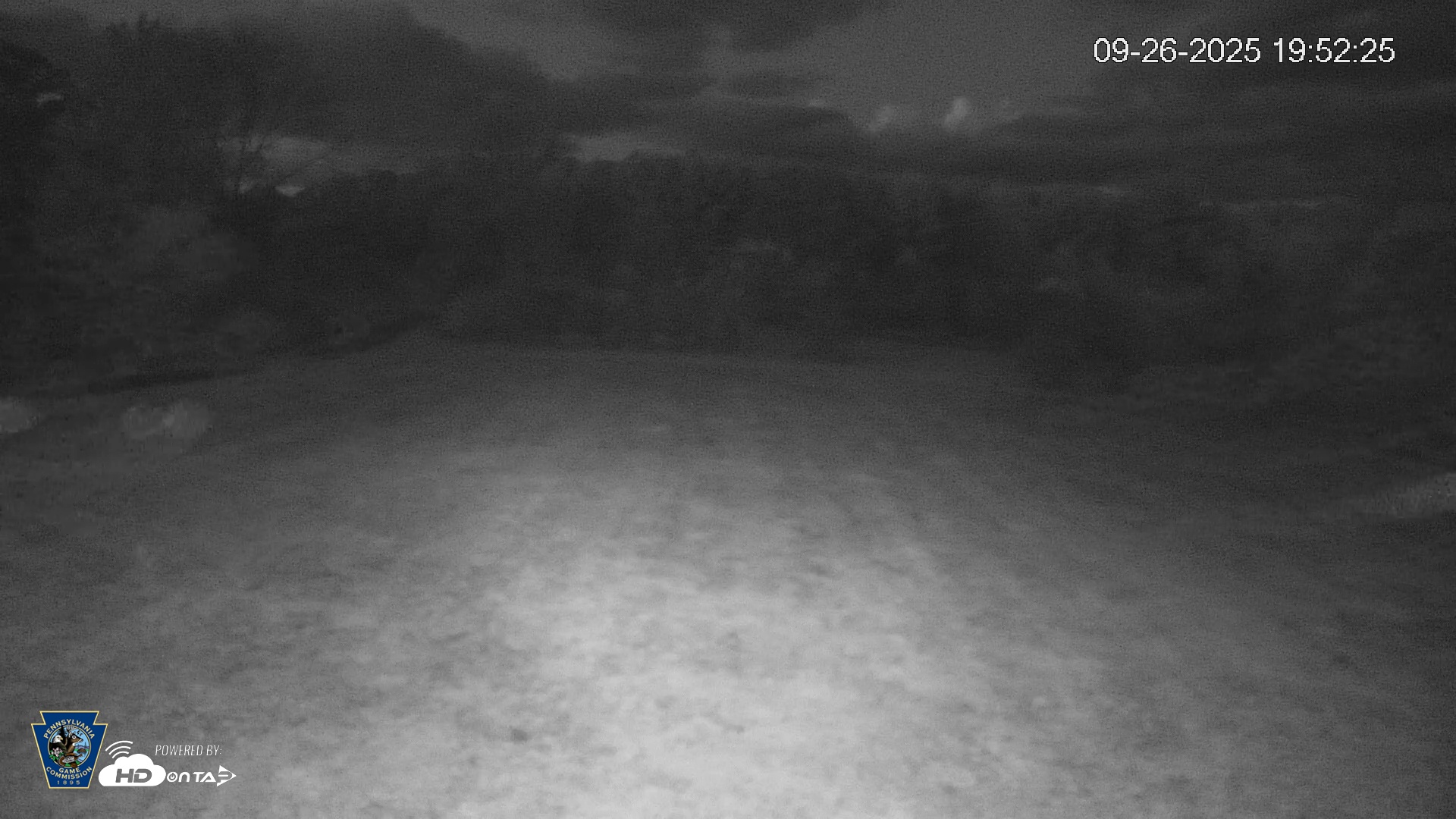 Snapshot of Pennsylvania Elk Live Webcam taken Sep 26, 2025, 7:53pm EDT