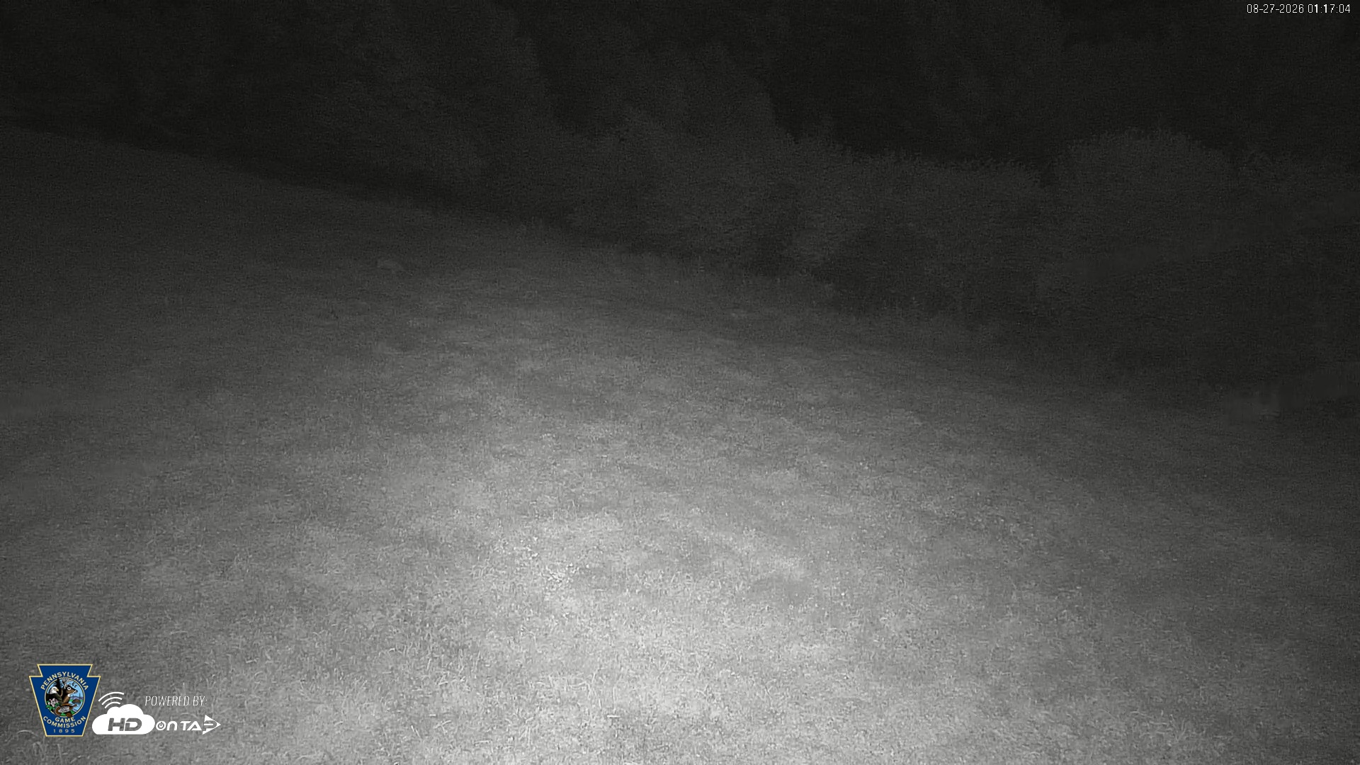 Snapshot of Pennsylvania Elk Live Webcam taken Aug 27, 2026, 1:17am EDT