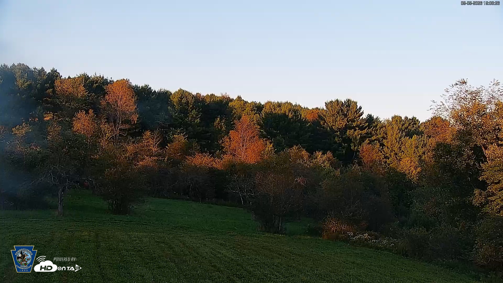 Snapshot of Pennsylvania Elk Live Webcam taken Sep 5, 2026, 7:10pm EDT