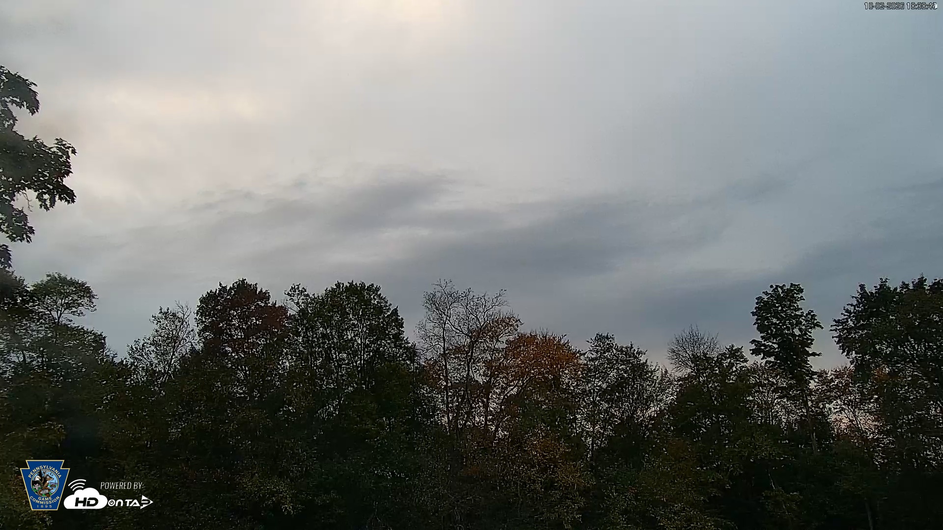 Snapshot of Pennsylvania Elk Live Webcam taken Oct 2, 2026, 6:39pm EDT
