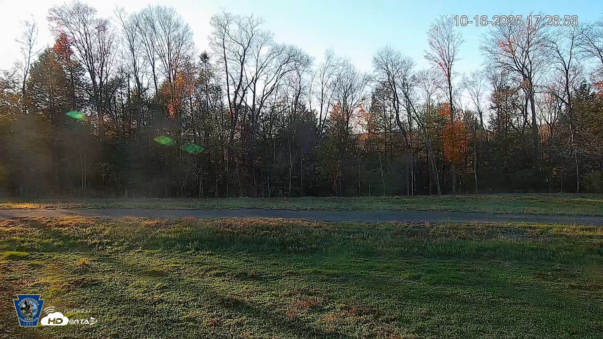 Snapshot of Pennsylvania Elk Live Webcam taken Oct 16, 2025, 5:27pm EDT