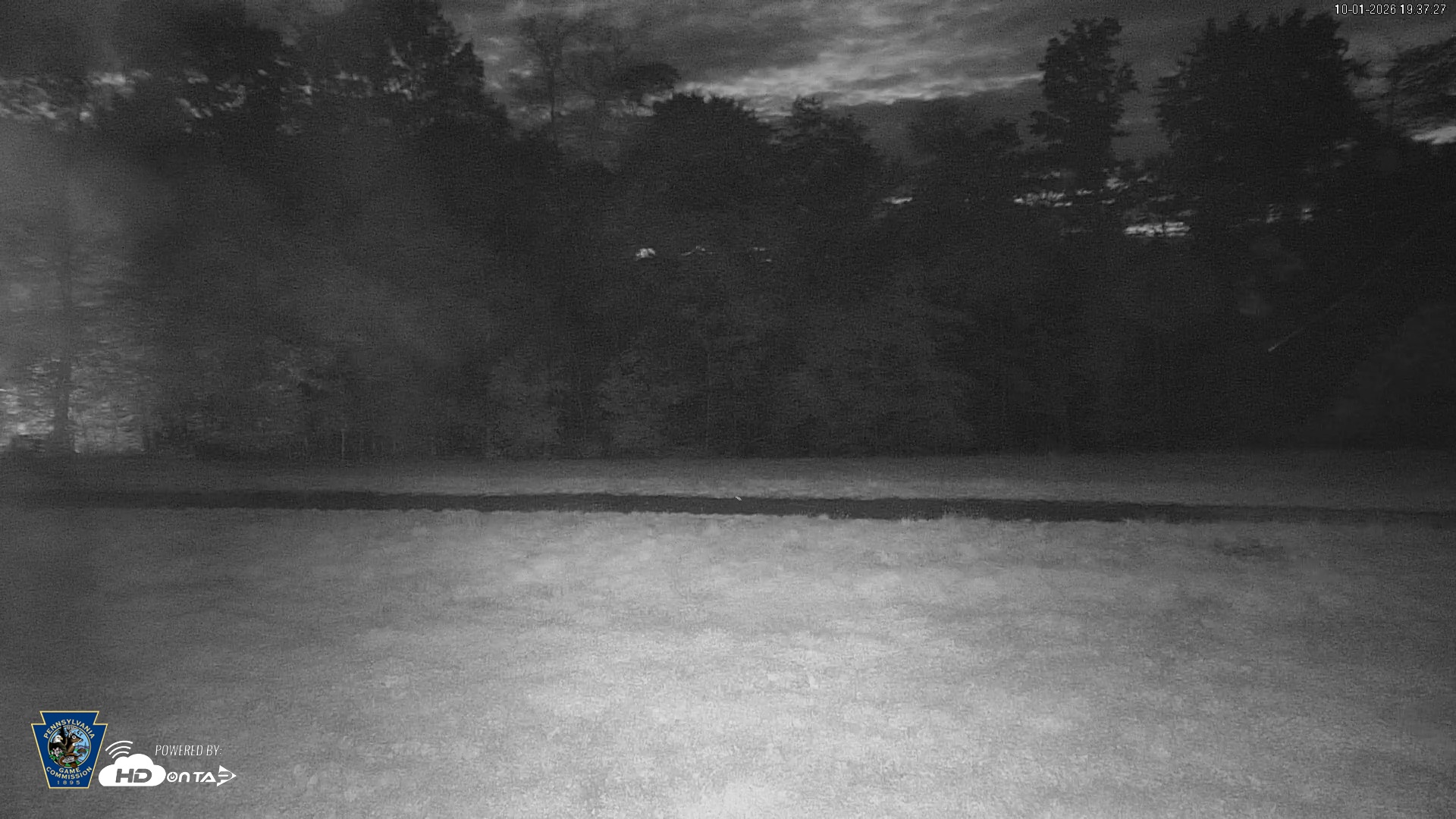 Snapshot of Pennsylvania Elk Live Webcam taken Oct 1, 2026, 7:38pm EDT