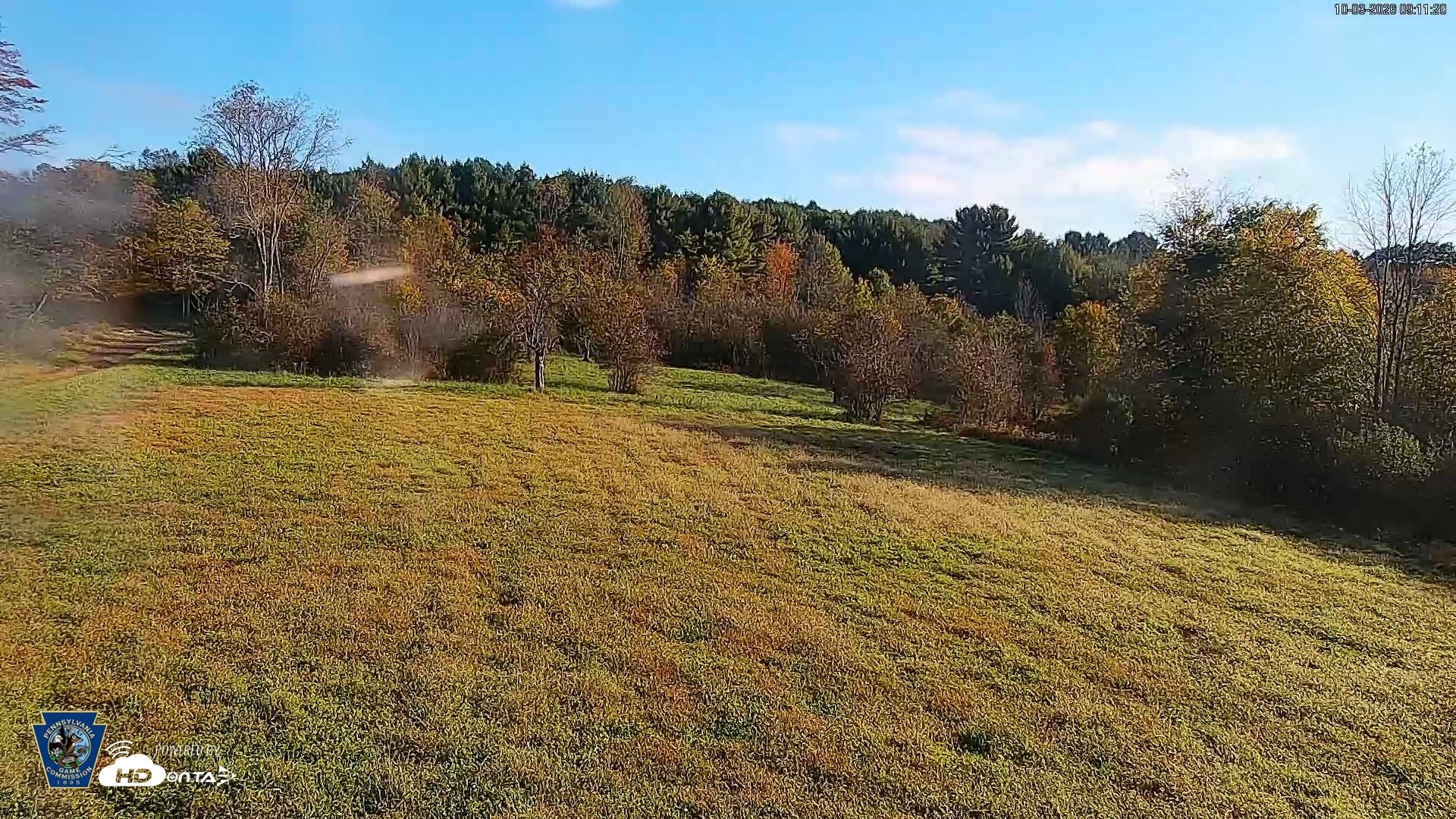 Snapshot of Pennsylvania Elk Live Webcam taken Oct 3, 2026, 9:12am EDT
