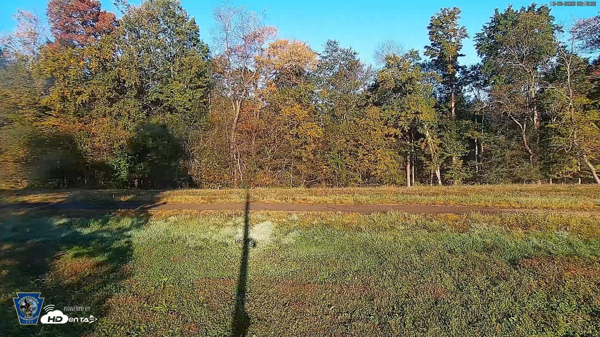 Snapshot of Pennsylvania Elk Live Webcam taken Oct 3, 2026, 8:20am EDT