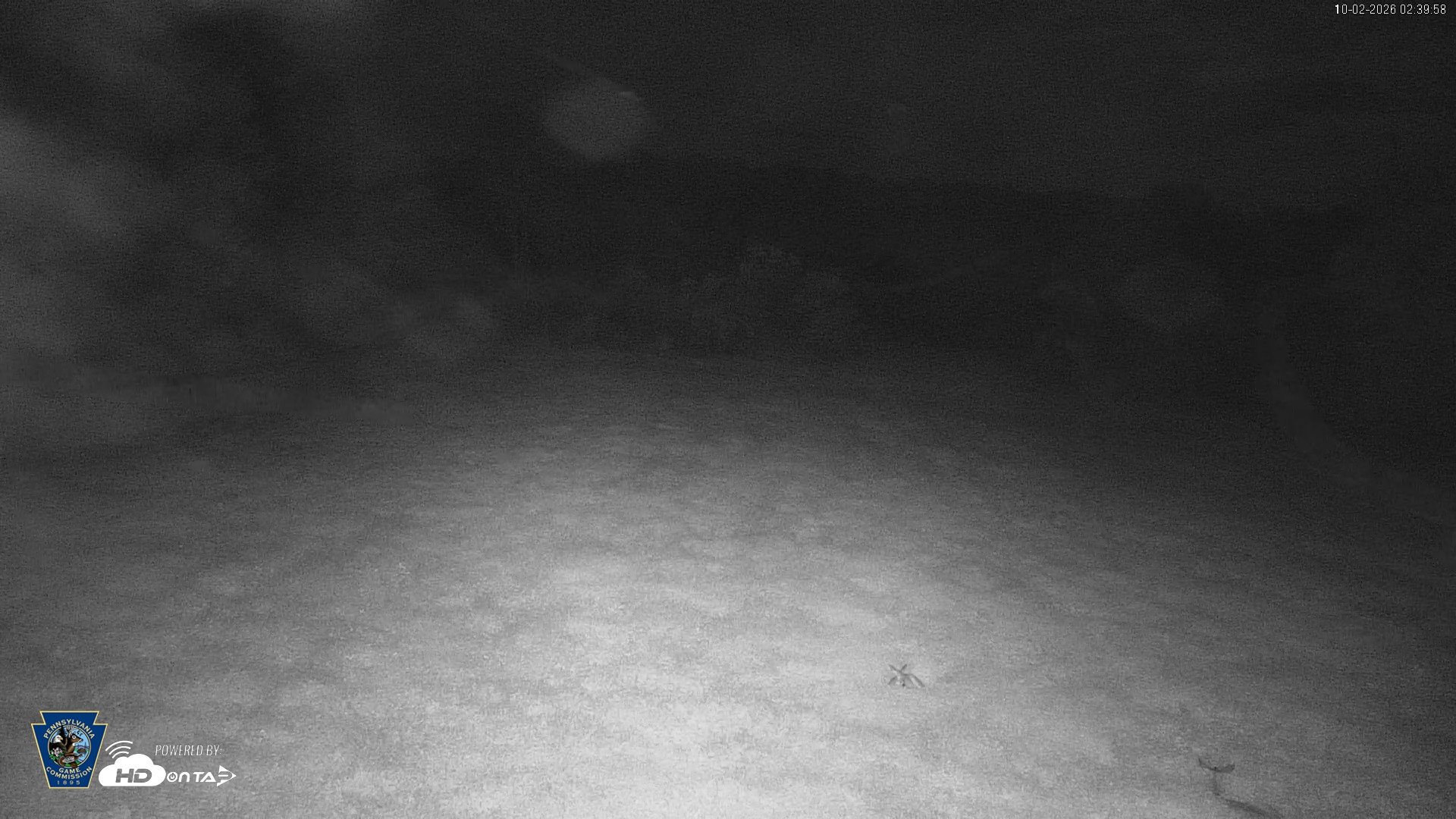 Snapshot of Pennsylvania Elk Live Webcam taken Oct 2, 2026, 2:40am EDT