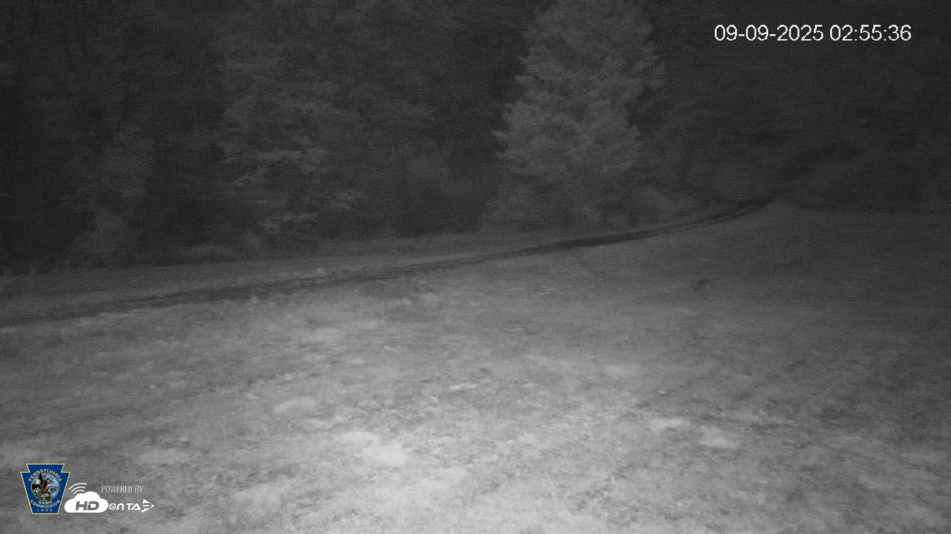 Snapshot of Pennsylvania Elk Live Webcam taken Sep 9, 2025, 2:56am EDT