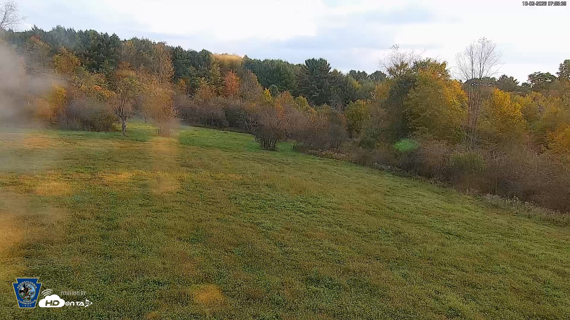 Snapshot of Pennsylvania Elk Live Webcam taken Oct 2, 2026, 7:56am EDT