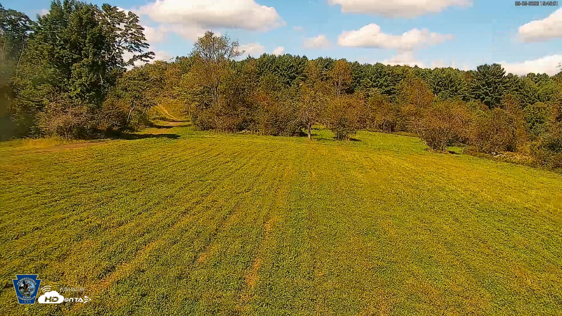 Snapshot of Pennsylvania Elk Live Webcam taken Sep 5, 2026, 3:45pm EDT