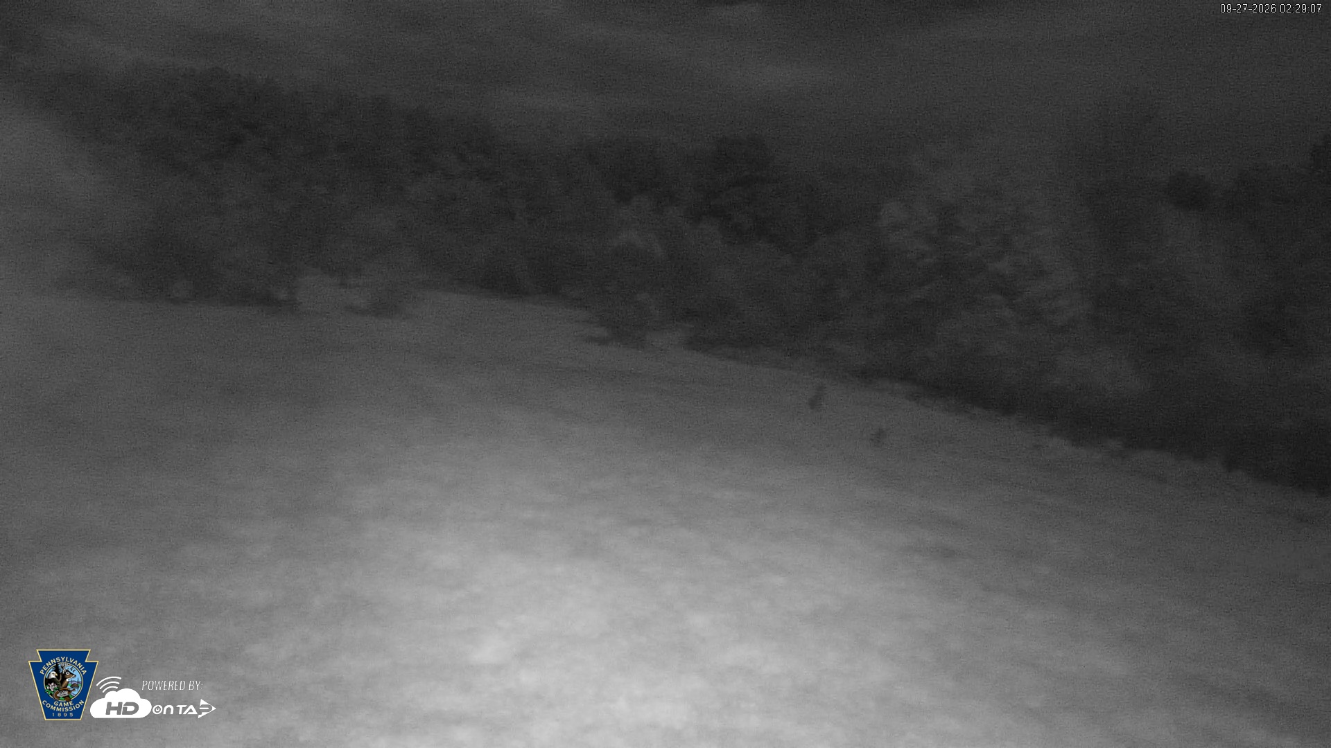 Snapshot of Pennsylvania Elk Live Webcam taken Sep 27, 2026, 2:29am EDT