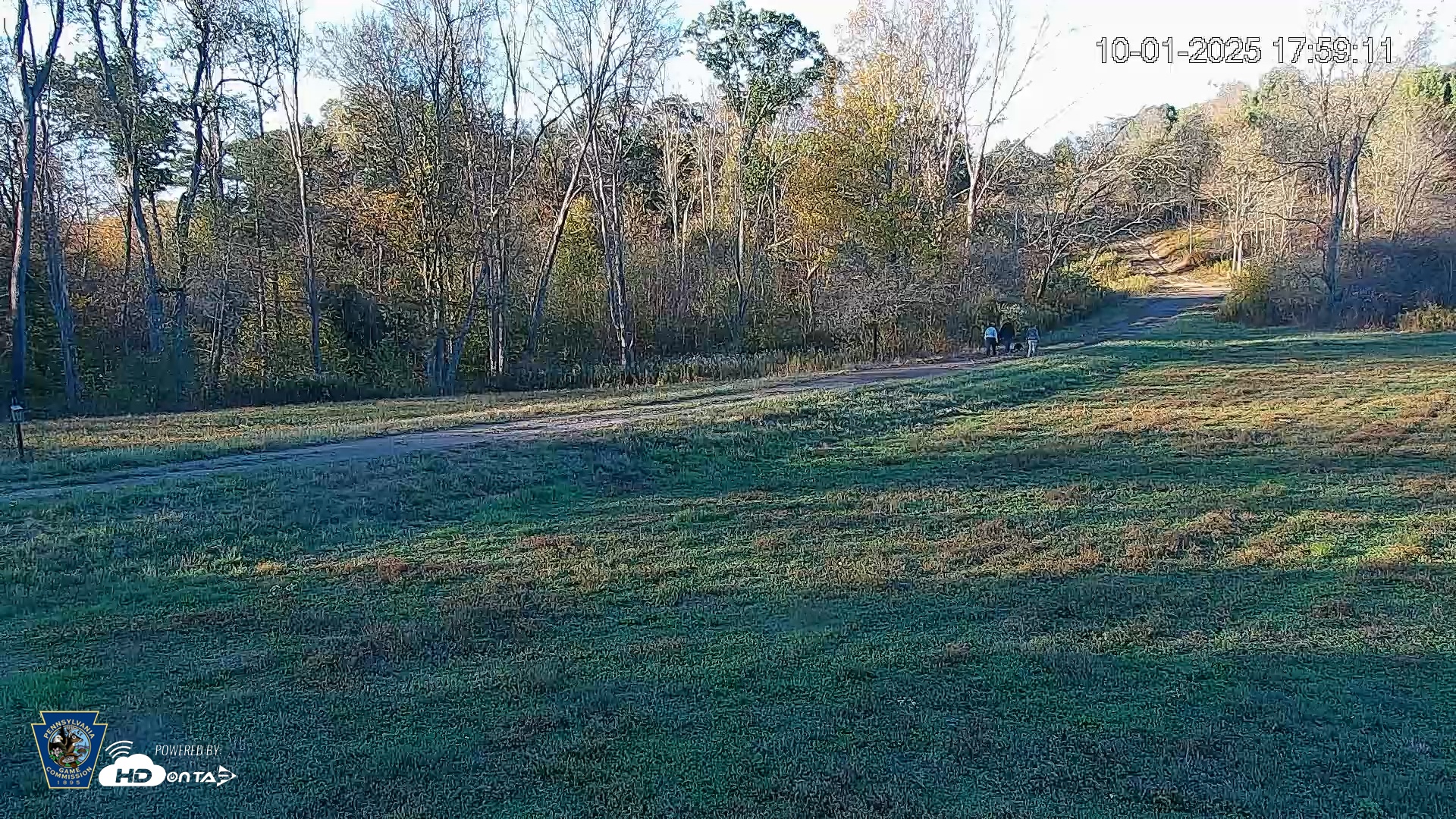 Snapshot of Pennsylvania Elk Live Webcam taken Oct 1, 2025, 6:03pm EDT