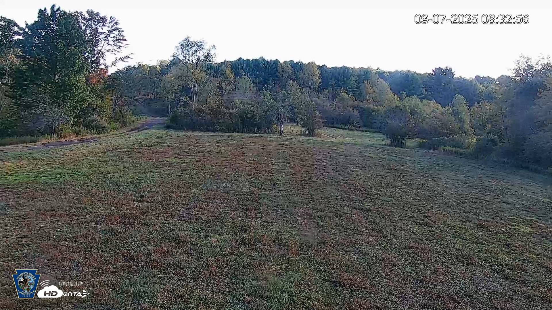 Snapshot of Pennsylvania Elk Live Webcam taken Sep 7, 2025, 8:33am EDT