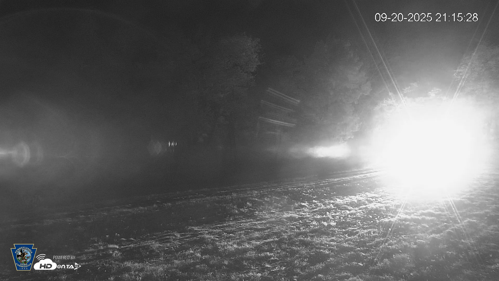 Snapshot of Pennsylvania Elk Live Webcam taken Sep 20, 2025, 9:16pm EDT