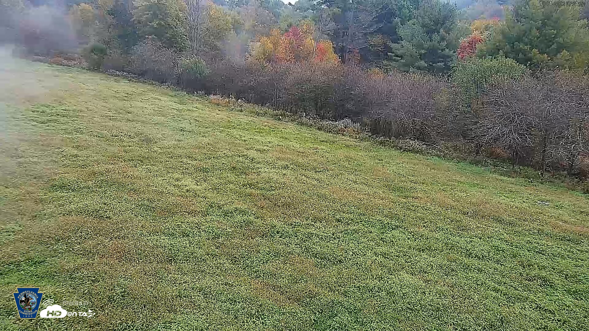 Snapshot of Pennsylvania Elk Live Webcam taken Oct 1, 2026, 7:22am EDT