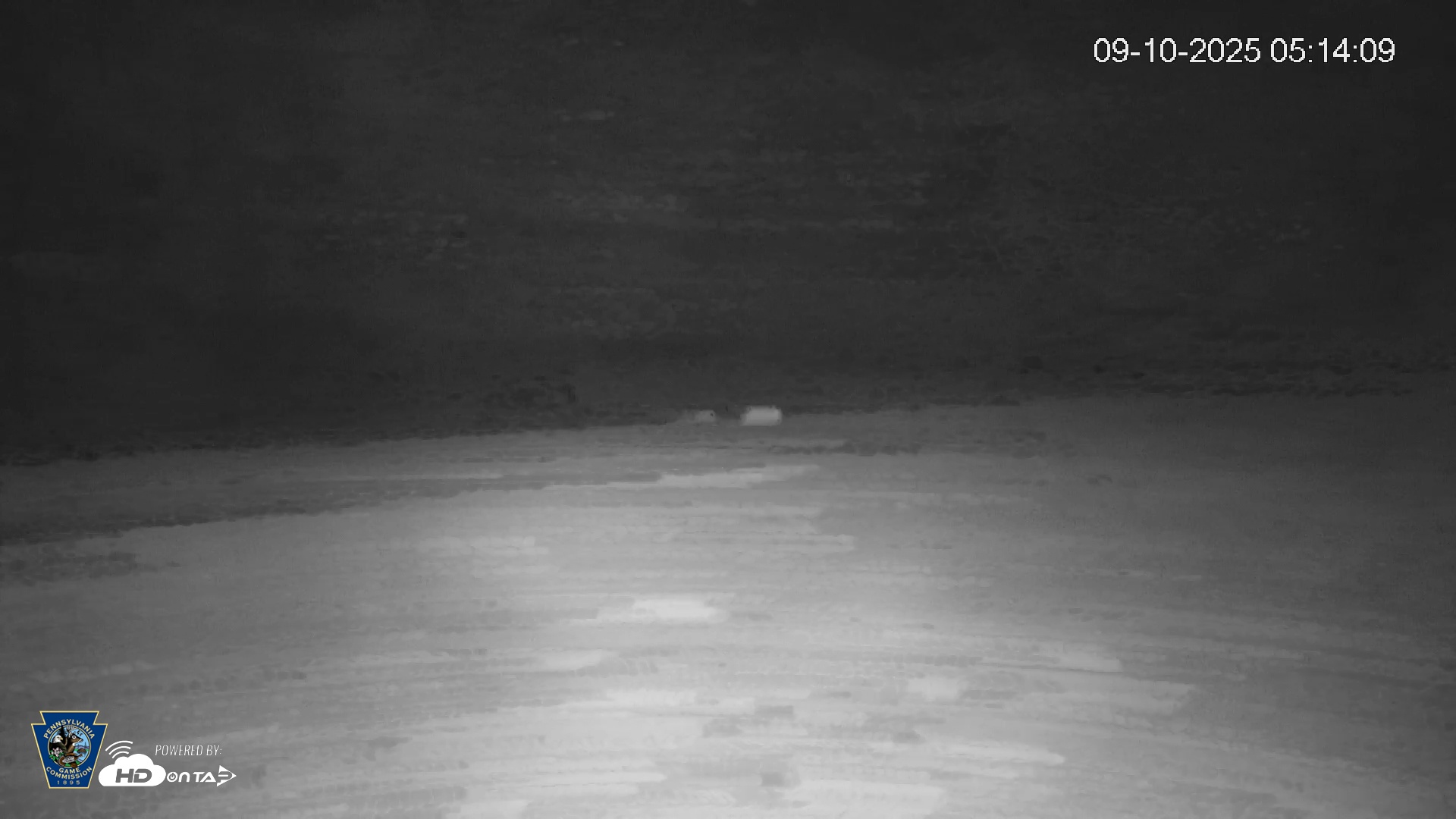 Snapshot of Pennsylvania Elk Live Webcam taken Sep 10, 2025, 5:14am EDT