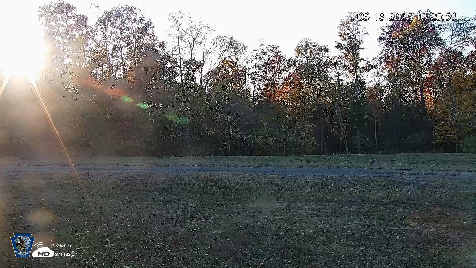Snapshot of Pennsylvania Elk Live Webcam taken Sep 19, 2025, 6:26pm EDT
