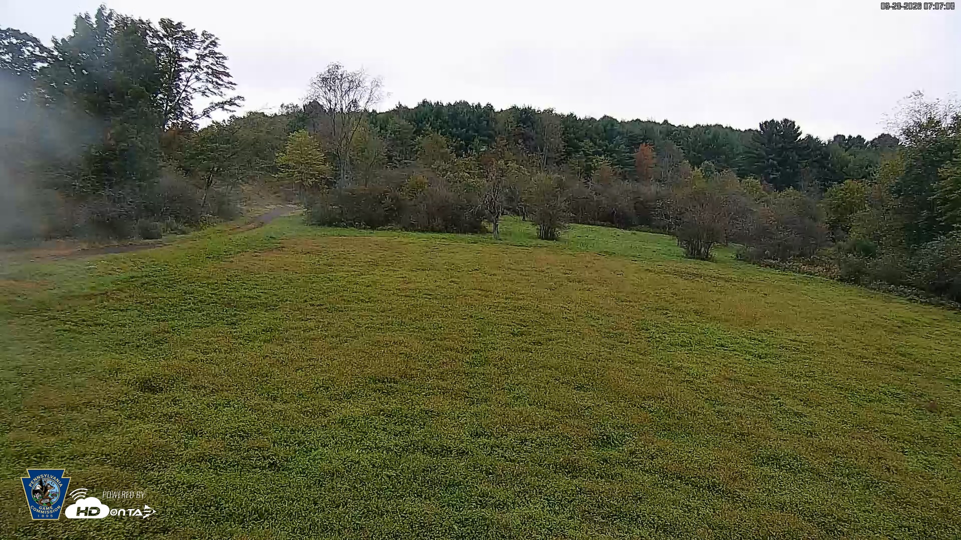 Snapshot of Pennsylvania Elk Live Webcam taken Sep 28, 2026, 7:07am EDT