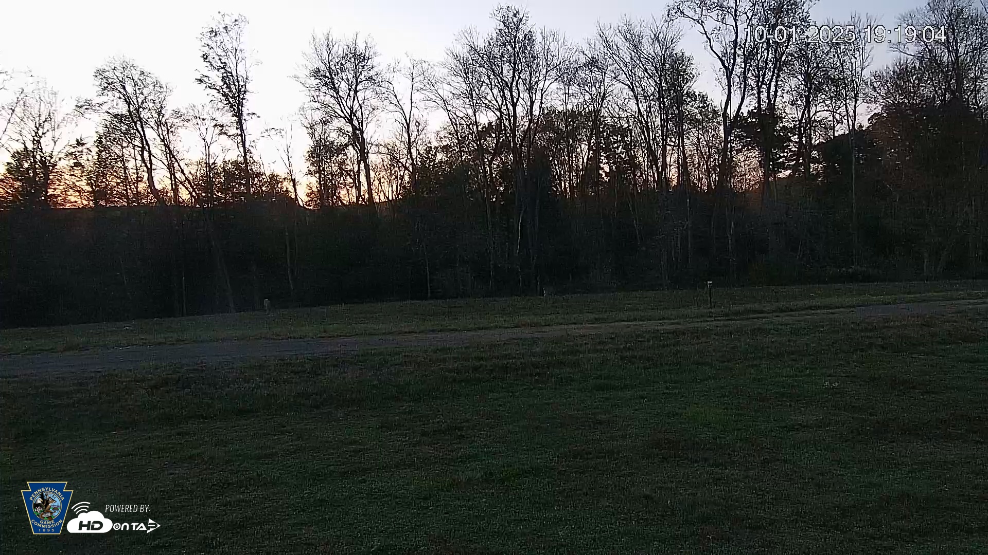 Snapshot of Pennsylvania Elk Live Webcam taken Oct 1, 2025, 7:19pm EDT