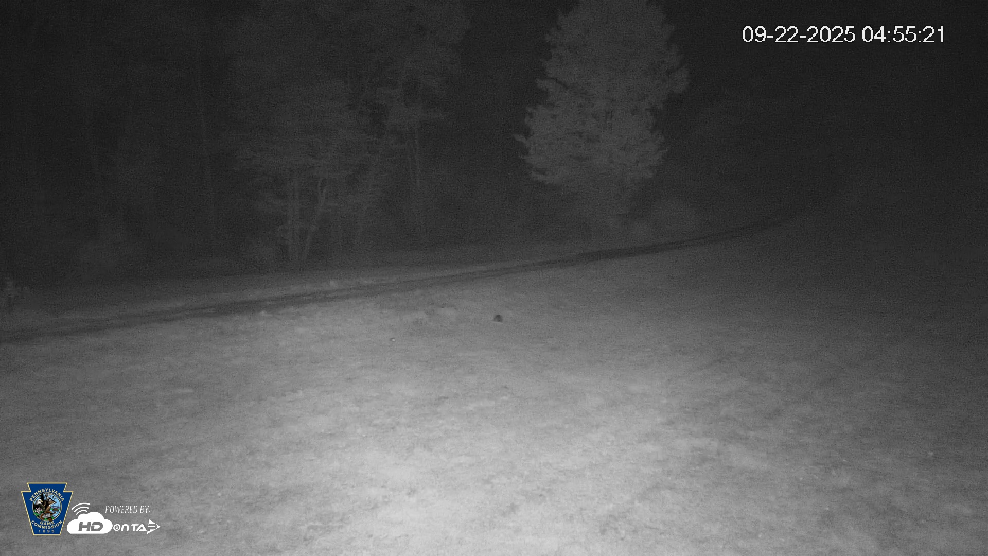 Snapshot of Pennsylvania Elk Live Webcam taken Sep 22, 2025, 4:56am EDT