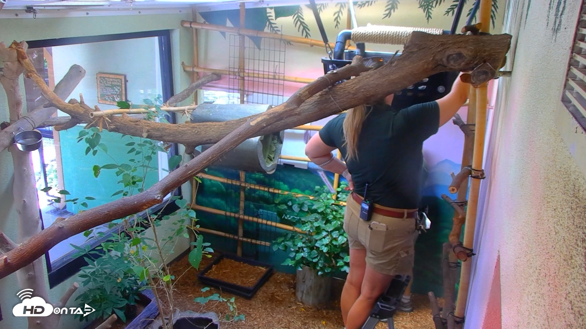 Snapshot of Reid Park Zoo Sloth Live Webcam taken Aug 17, 2026, 2:03pm MST