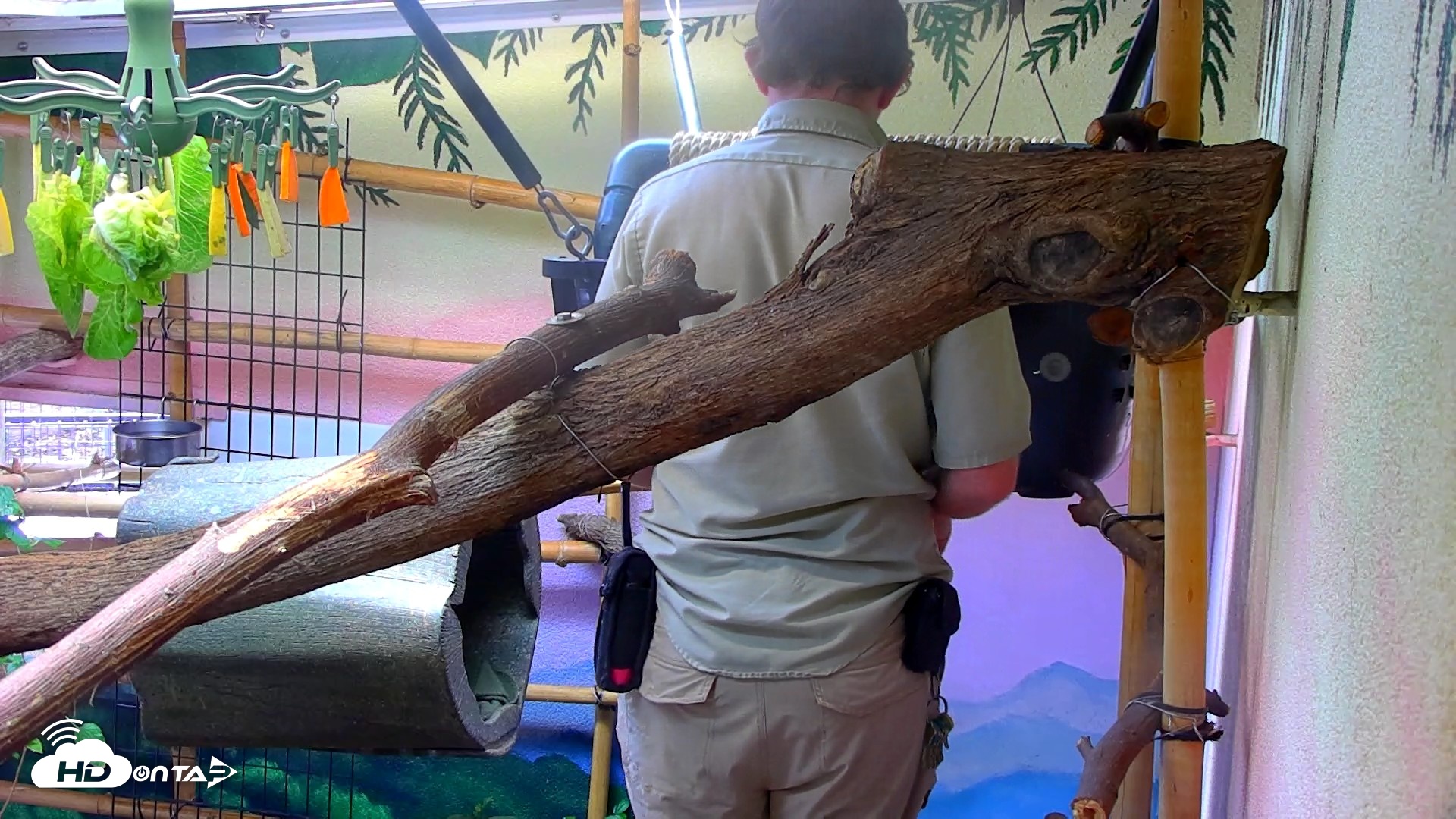 Snapshot of Reid Park Zoo Sloth Live Webcam taken Jun 1, 2026, 2:13pm MST