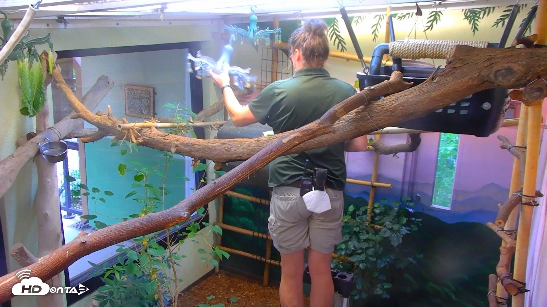 Snapshot of Reid Park Zoo Sloth Live Webcam taken Sep 8, 2026, 7:21am MST