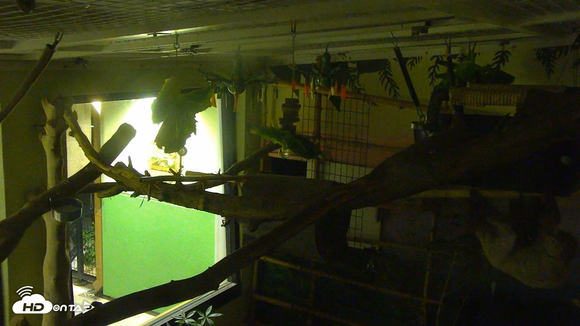 Snapshot of Reid Park Zoo Sloth Live Webcam taken Oct 11, 2026, 8:34pm MST