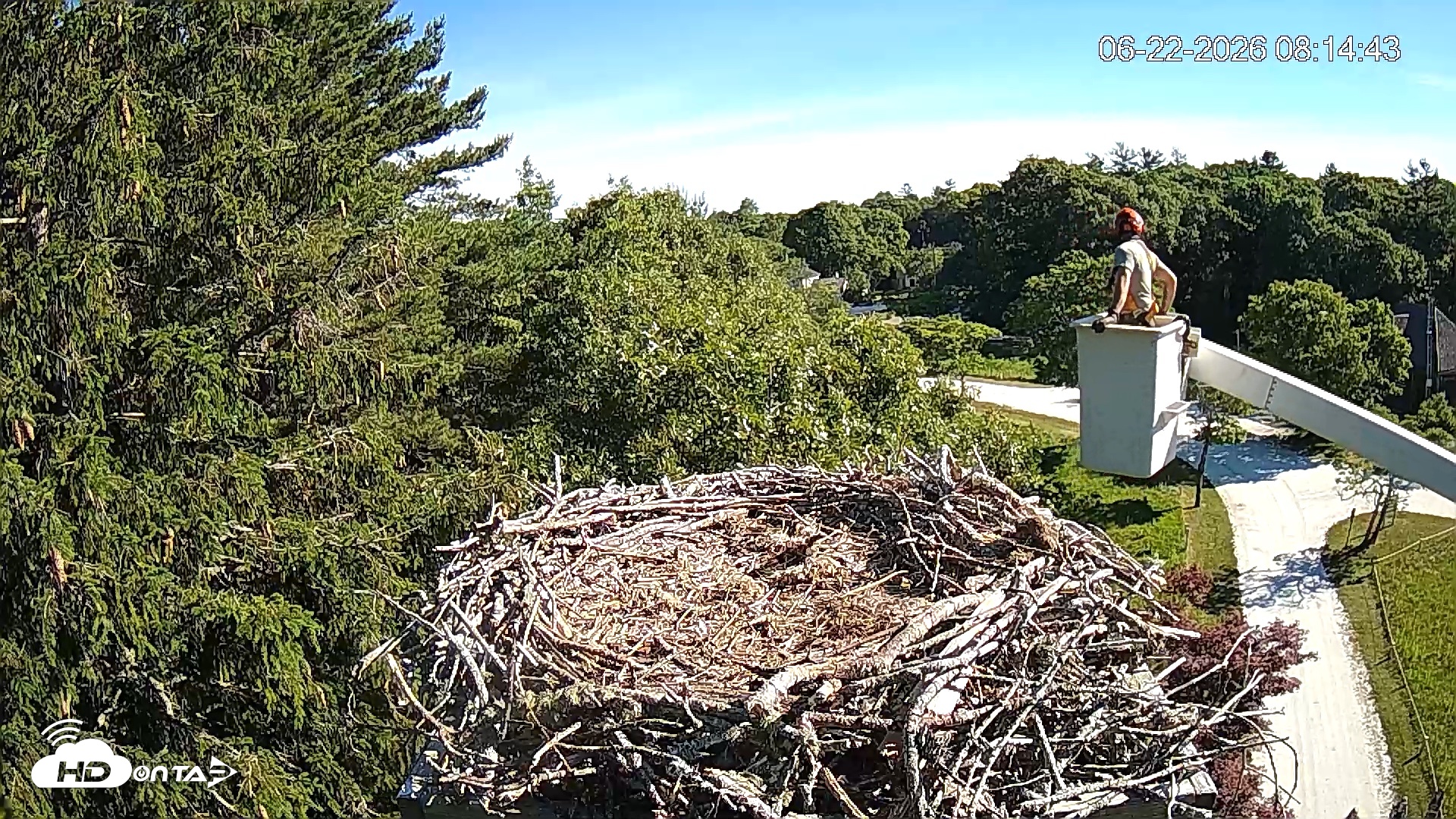 Snapshot of Mashpee Natl. Wildlife Refuge Live Osprey Cam taken Jun 22, 2026, 8:19am EDT