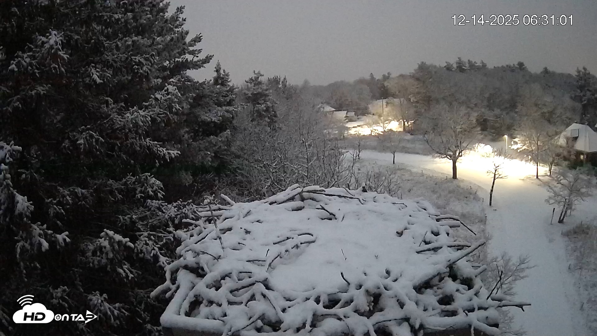 Snapshot of Mashpee Natl. Wildlife Refuge Live Osprey Cam taken Dec 14, 2025, 6:32am EST