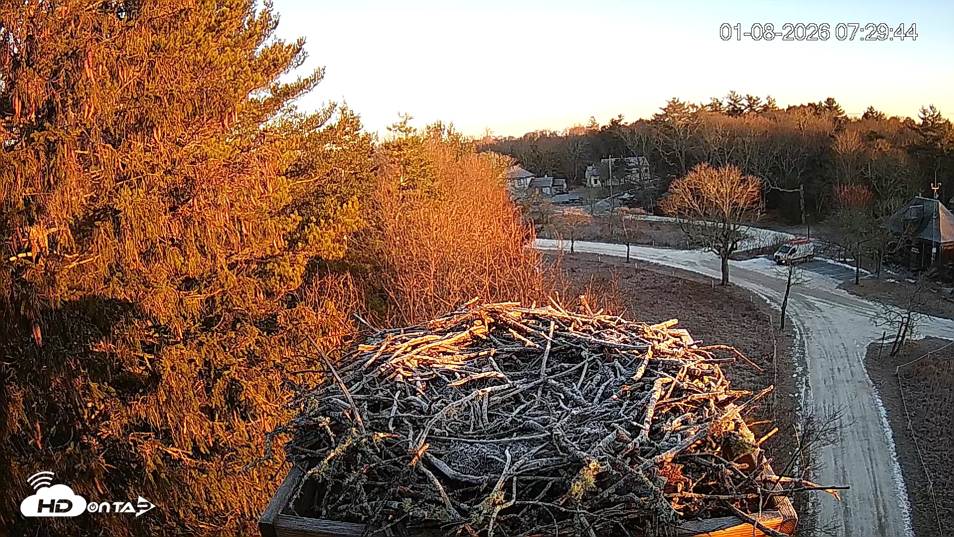 Snapshot of Mashpee Natl. Wildlife Refuge Live Osprey Cam taken Jan 8, 2026, 7:30am EST