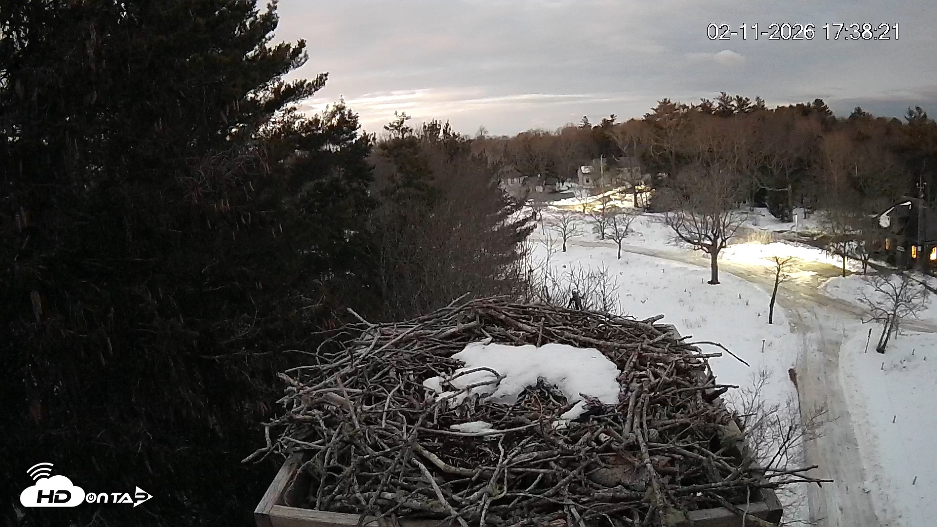Snapshot of Mashpee Natl. Wildlife Refuge Live Osprey Cam taken Feb 11, 2026, 5:39pm EST