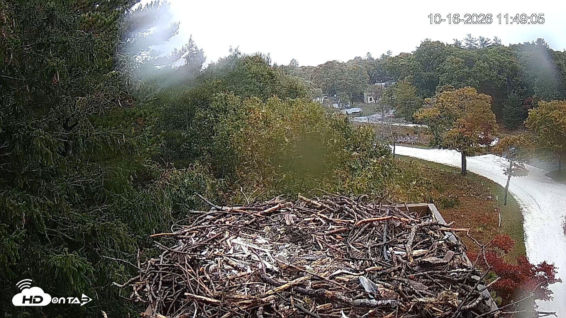 Snapshot of Mashpee Natl. Wildlife Refuge Live Osprey Cam taken Oct 16, 2026, 11:48am EDT